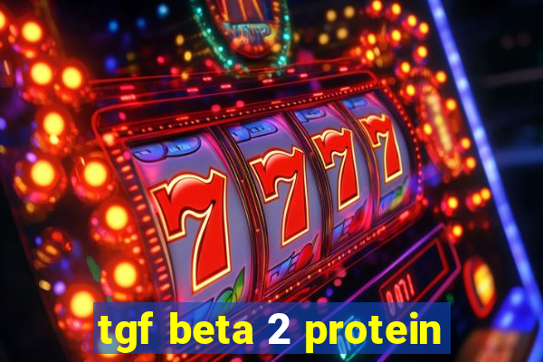 tgf beta 2 protein